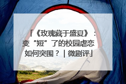 《玫瑰藏于盛夏》：变“短”了的校园虐恋如何突围？｜微剧评