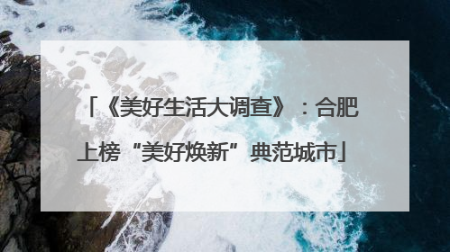 《美好生活大调查》：合肥上榜“美好焕新”典范城市