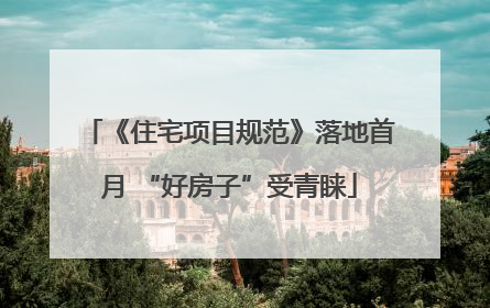 《住宅项目规范》落地首月 “好房子”受青睐