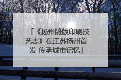 《扬州雕版印刷技艺志》在江苏扬州首发 传承城市记忆