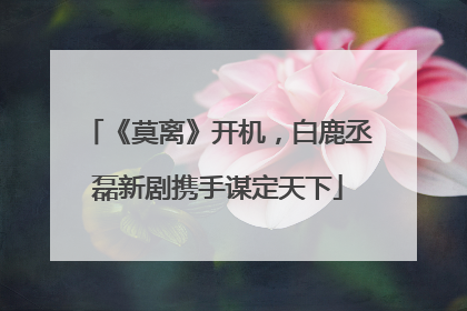 《莫离》开机，白鹿丞磊新剧携手谋定天下