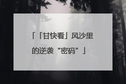 「甘快看」风沙里的逆袭“密码”
