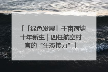 「绿色发展」千亩荷塘 十年新生｜四任航空村官的“生态接力”