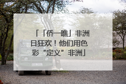 「侨一瞧」非洲日狂欢！他们用色彩“定义”非洲