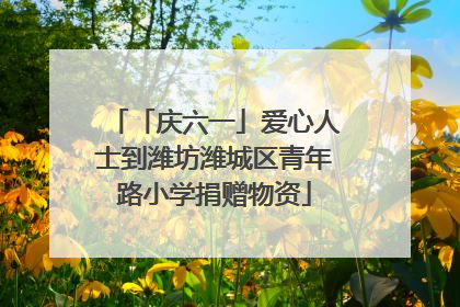 「庆六一」爱心人士到潍坊潍城区青年路小学捐赠物资