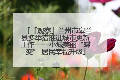 「观察」兰州市皋兰县多举措推进城市更新工作——小城美丽“蝶变” 居民幸福升级