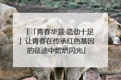 「青春华章·赣劲十足」让青春在传承红色基因的征途中熠熠闪光