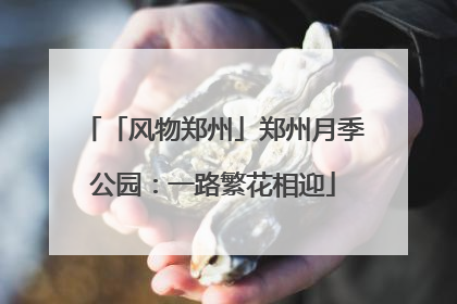 「风物郑州」郑州月季公园：一路繁花相迎