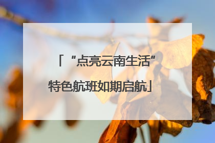 “点亮云南生活”特色航班如期启航