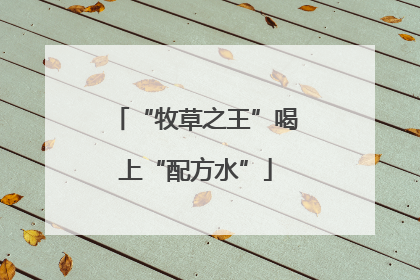 “牧草之王”喝上“配方水”