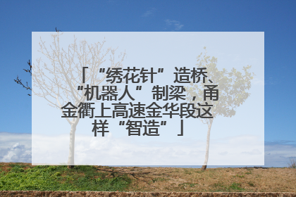 “绣花针”造桥、“机器人”制梁，甬金衢上高速金华段这样“智造”