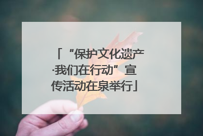 “保护文化遗产·我们在行动”宣传活动在泉举行