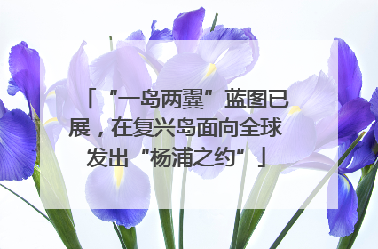 “一岛两翼”蓝图已展，在复兴岛面向全球发出“杨浦之约”