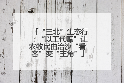 “三北”生态行：“以工代赈”让农牧民由治沙“看客”变“主角”