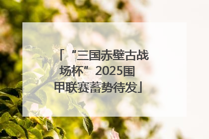 “三国赤壁古战场杯”2025围甲联赛蓄势待发