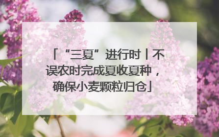 “三夏”进行时丨不误农时完成夏收夏种，确保小麦颗粒归仓
