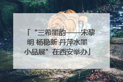 “三希墨韵——宋黎明 杨稳新 丹萍水墨小品展”在西安举办