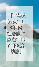 “与人为友”13年 网红麋鹿“点点”已产下8胎幼崽