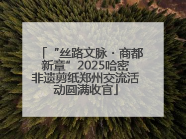 “丝路文脉・商都新章”2025哈密非遗剪纸郑州交流活动圆满收官