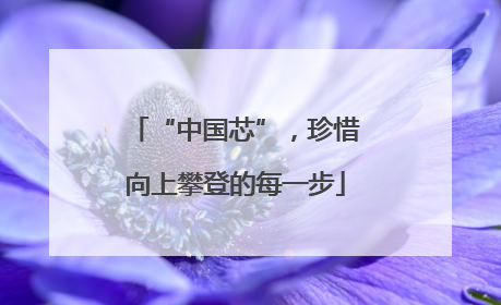 “中国芯”，珍惜向上攀登的每一步