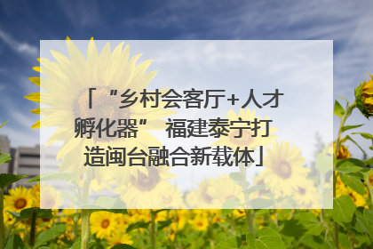 “乡村会客厅+人才孵化器” 福建泰宁打造闽台融合新载体