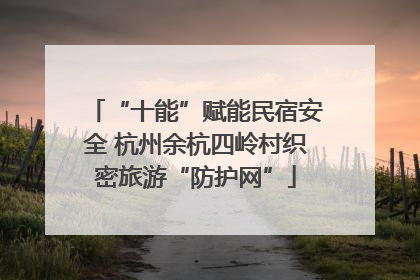 “十能”赋能民宿安全 杭州余杭四岭村织密旅游“防护网”