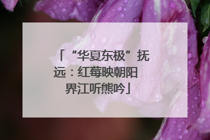 “华夏东极”抚远：红莓映朝阳 界江听熊吟