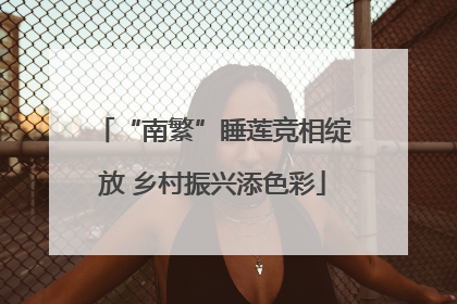 “南繁”睡莲竞相绽放 乡村振兴添色彩