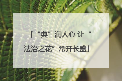 “典”润人心 让“法治之花”常开长盛