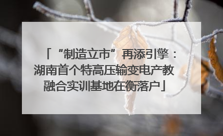 “制造立市”再添引擎：湖南首个特高压输变电产教融合实训基地在衡落户