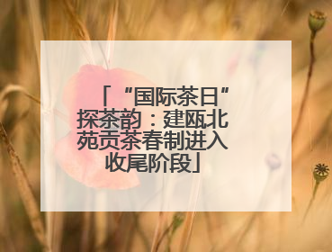 “国际茶日”探茶韵：建瓯北苑贡茶春制进入收尾阶段