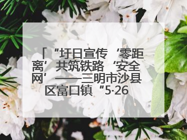 “圩日宣传‘零距离’共筑铁路‘安全网’——三明市沙县区富口镇“5·26我爱路“主题宣传活动成效显著