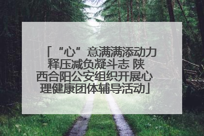 “心”意满满添动力 释压减负凝斗志 陕西合阳公安组织开展心理健康团体辅导活动