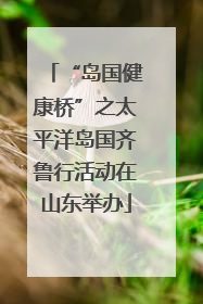 “岛国健康桥”之太平洋岛国齐鲁行活动在山东举办
