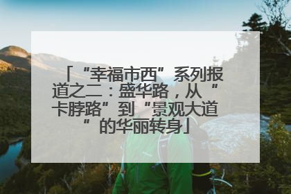 “幸福市西”系列报道之二：盛华路，从“卡脖路”到“景观大道”的华丽转身