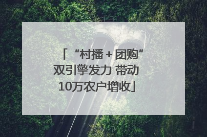 “村播＋团购”双引擎发力 带动10万农户增收