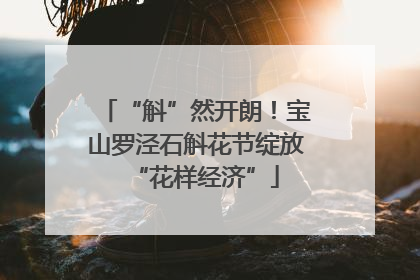 “斛”然开朗！宝山罗泾石斛花节绽放“花样经济”