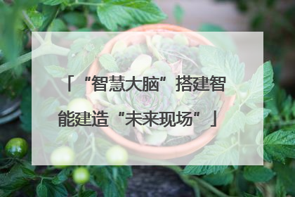 “智慧大脑”搭建智能建造“未来现场”