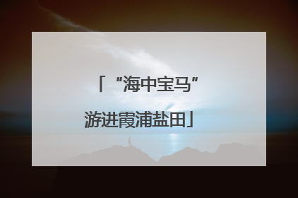 “海中宝马”游进霞浦盐田