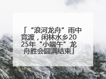 “浪河龙舟”雨中竞渡，闲林水乡2025年“小端午”龙舟胜会圆满结束