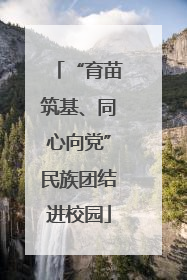 “育苗筑基、同心向党”民族团结进校园