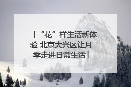 “花”样生活新体验 北京大兴区让月季走进日常生活