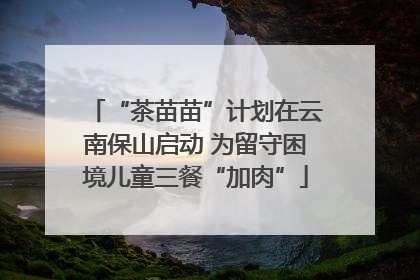 “茶苗苗”计划在云南保山启动 为留守困境儿童三餐“加肉”