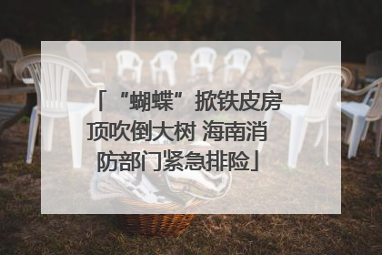 “蝴蝶”掀铁皮房顶吹倒大树 海南消防部门紧急排险