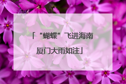 “蝴蝶”飞进海南 厦门大雨如注
