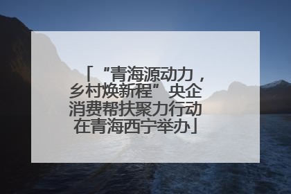 “青海源动力，乡村焕新程”央企消费帮扶聚力行动在青海西宁举办
