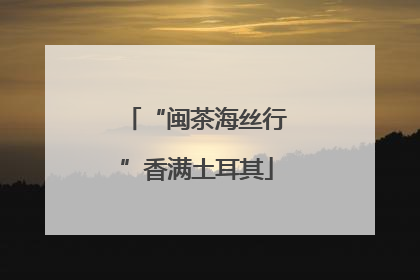 “闽茶海丝行”香满土耳其