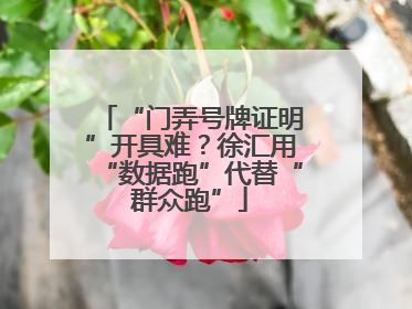 “门弄号牌证明”开具难？徐汇用“数据跑”代替“群众跑”