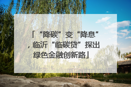 “降碳”变“降息”，临沂“临碳贷”探出绿色金融创新路