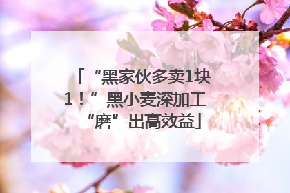 “黑家伙多卖1块1！”黑小麦深加工“磨”出高效益